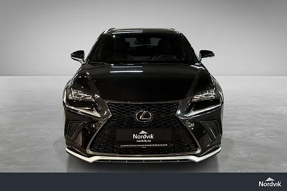 Lexus Nx300H 2019 photo 2