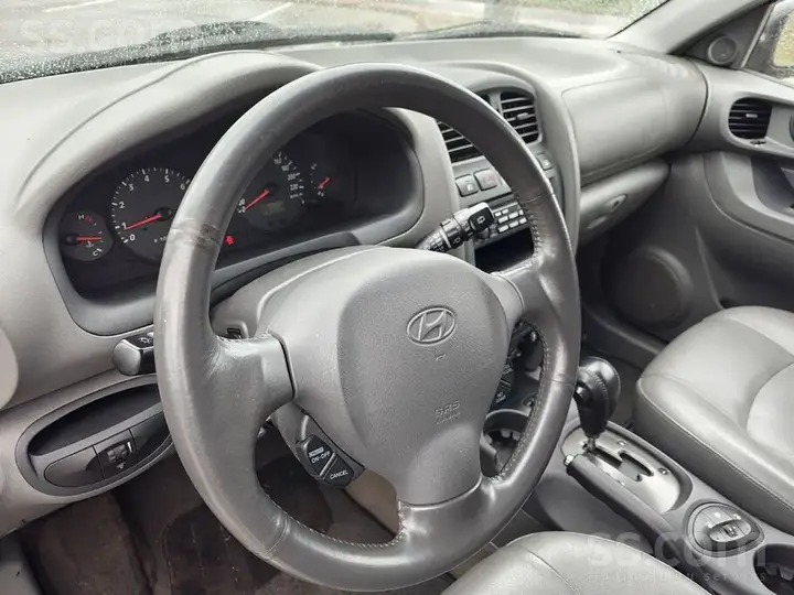 Hyundai Santa Fe 2002 photo 4