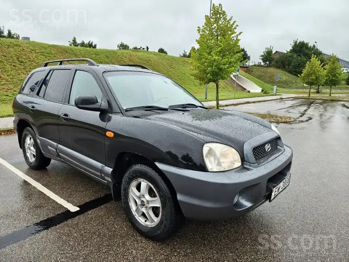 Hyundai Santa Fe 2002 photo 2