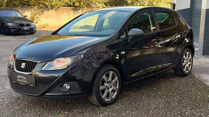 Seat Ibiza 2009 photo 3