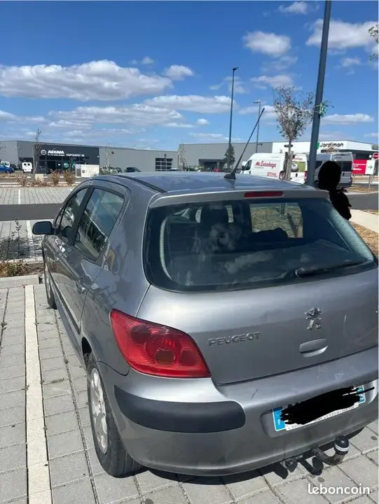 Peugeot 307 2005 photo 2