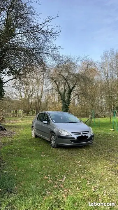Peugeot 307