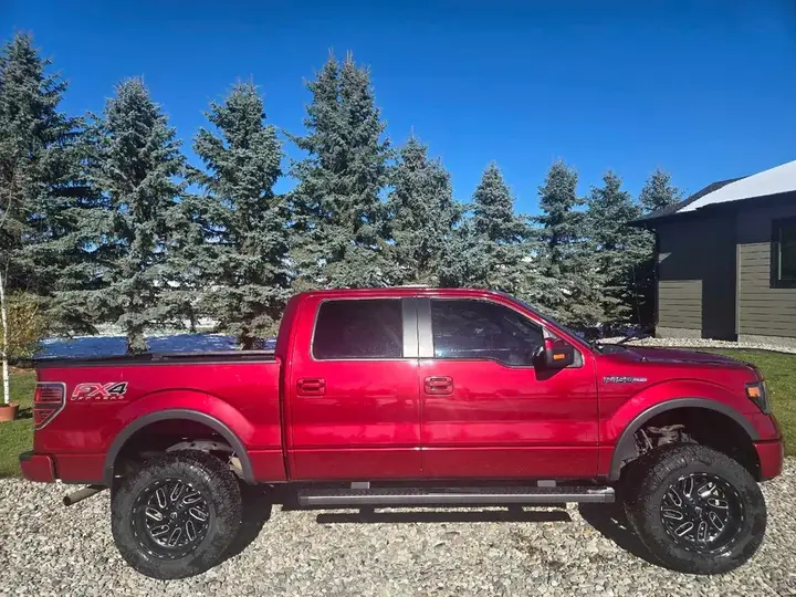 Ford F-150 2014 photo 5