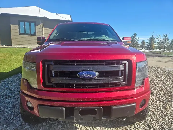 Ford F-150 2014 photo 3