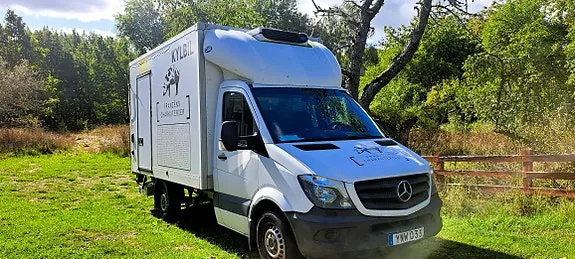 Mercedes-Benz Sprinter 316 2017 photo 4