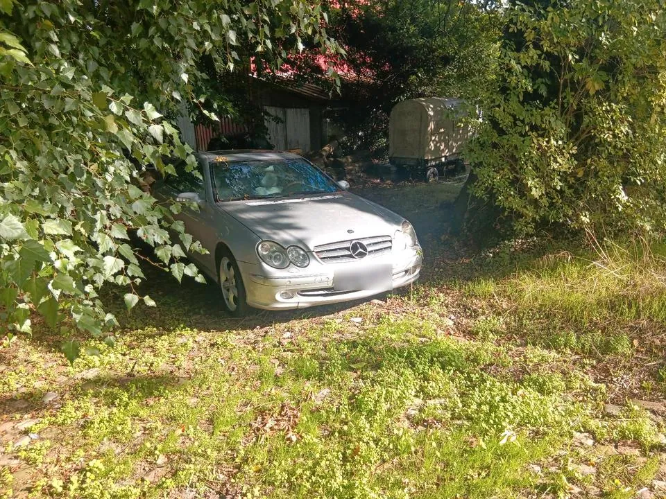 Mercedes-Benz Clk 240