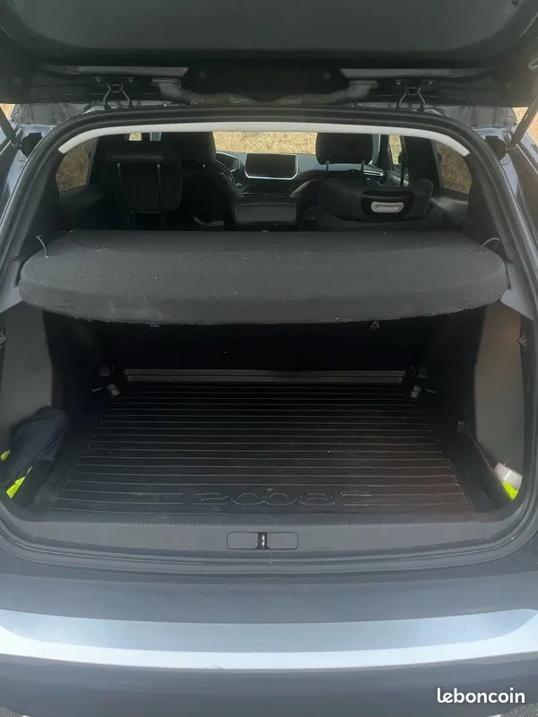 Peugeot 2008 2021 photo 5