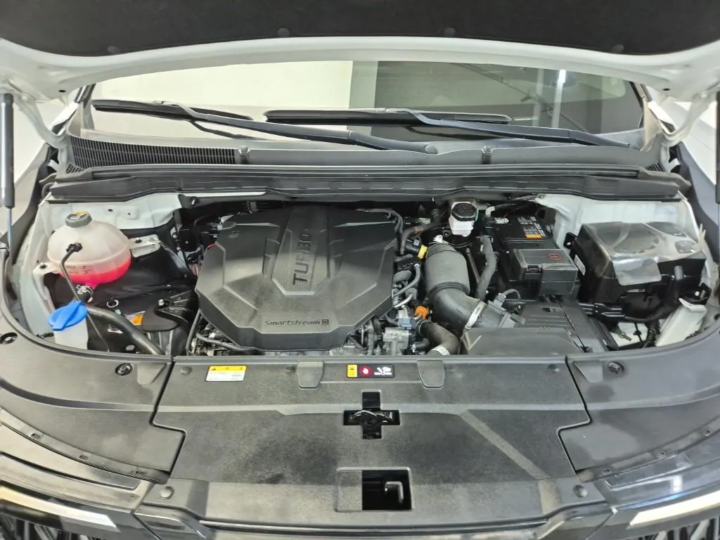 Kia Carnival 2024 photo 5