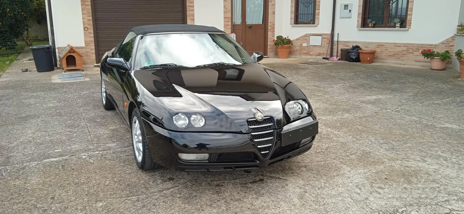 Alfa Romeo Gtv Spider