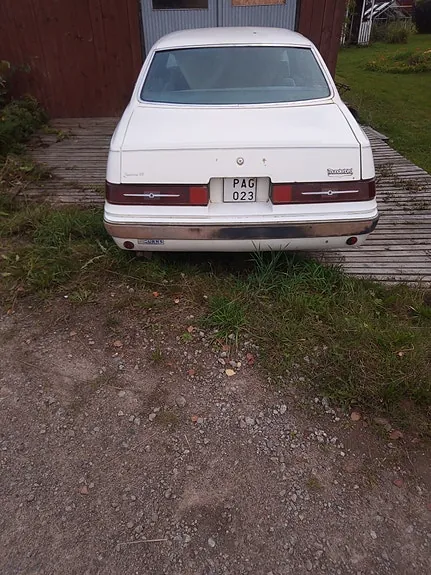 Ford Thunderbird 1983 photo 3