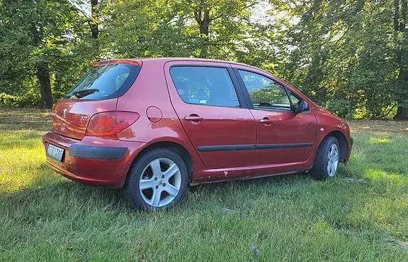 Peugeot 307 2002 photo 4