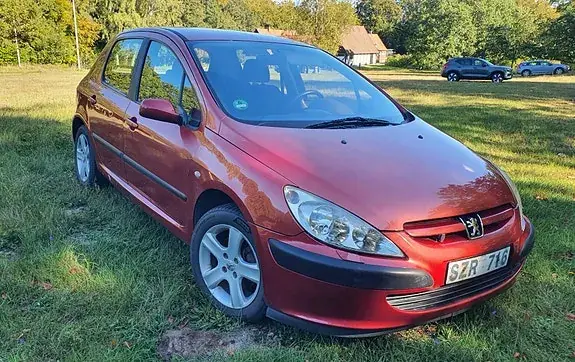 Peugeot 307
