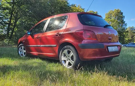 Peugeot 307 2002 photo 2