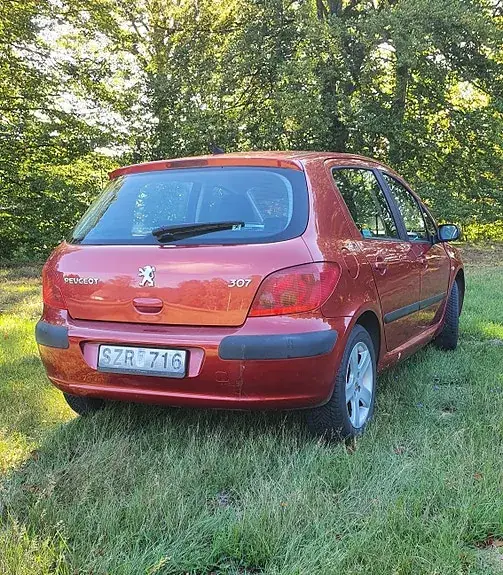 Peugeot 307 2002 photo 3