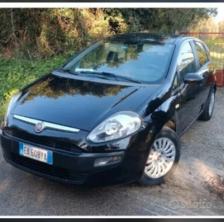 Fiat Punto Evo