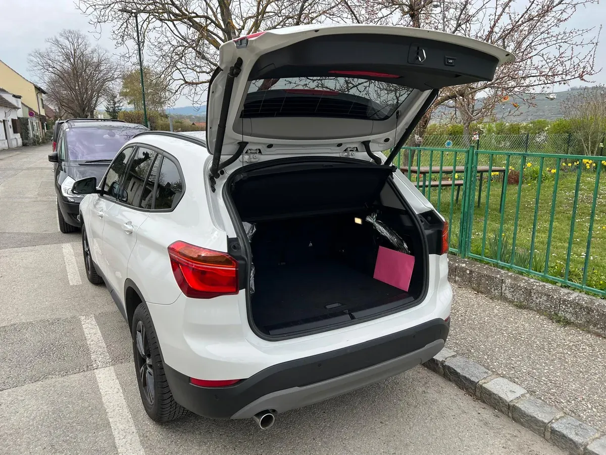 BMW X1 2018 photo 2