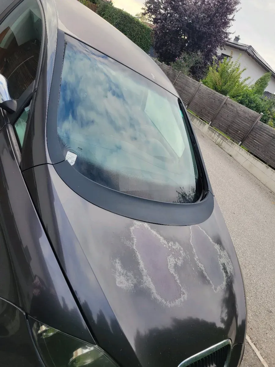 Seat Altea 2004 photo 2