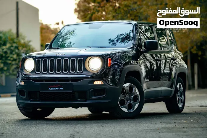 Jeep Renegade 2016 photo 2