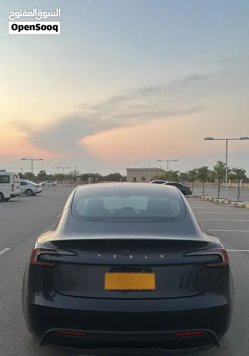 Tesla Model 3 2025 photo 3
