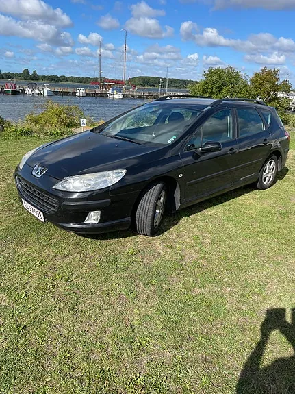 Peugeot 407 2006 photo 2