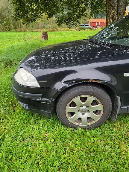 Volkswagen Passat 2003 photo 5