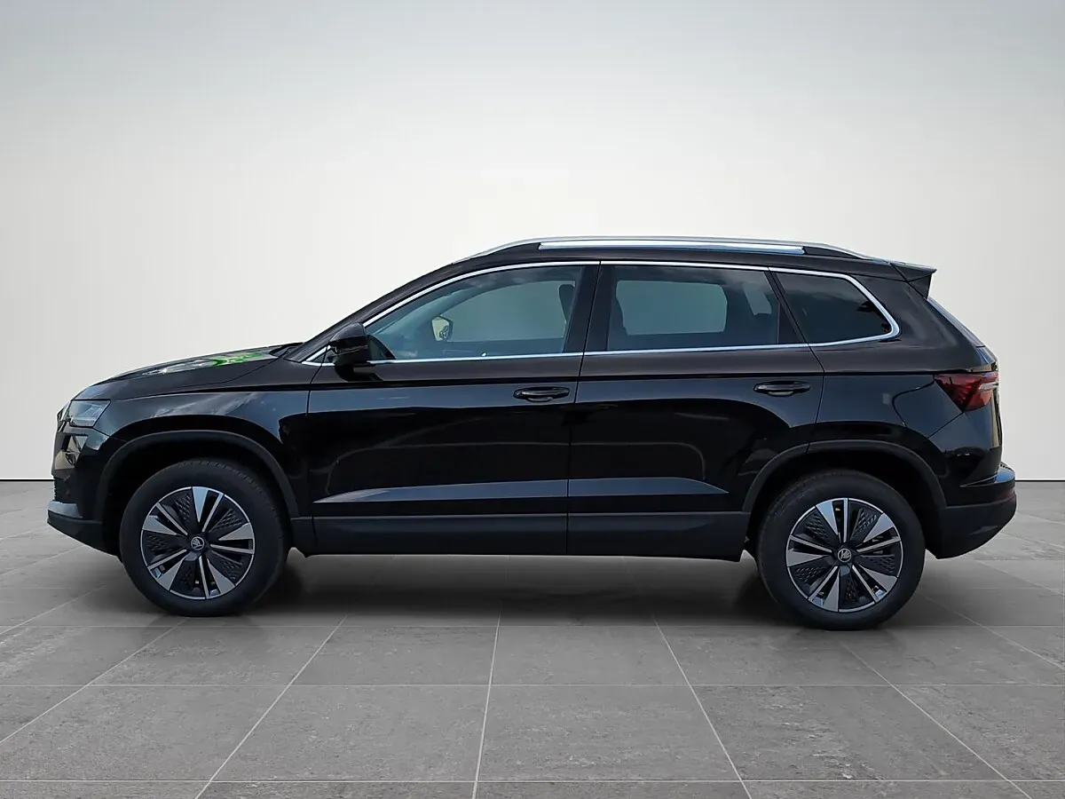 Skoda Karoq 2026 photo 3