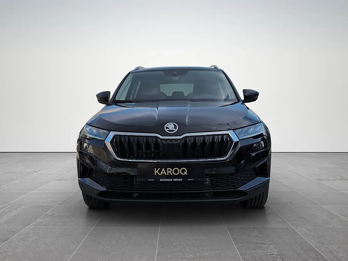 Skoda Karoq 2026 photo 2