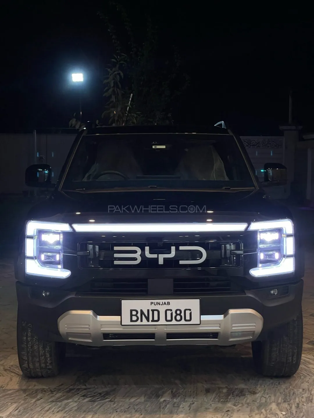 BYD Shark 6