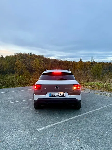 Citroen C4 Cactus 2014 photo 4