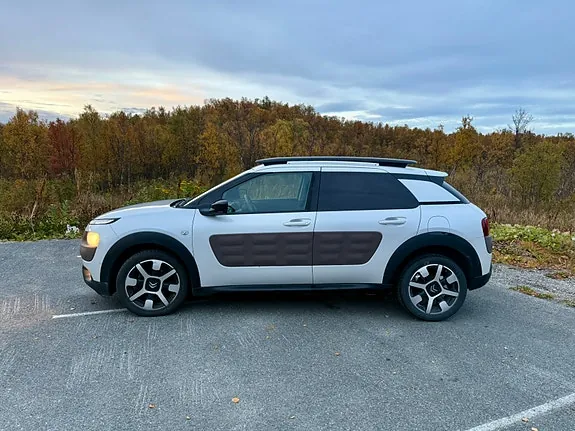 Citroen C4 Cactus 2014 photo 5