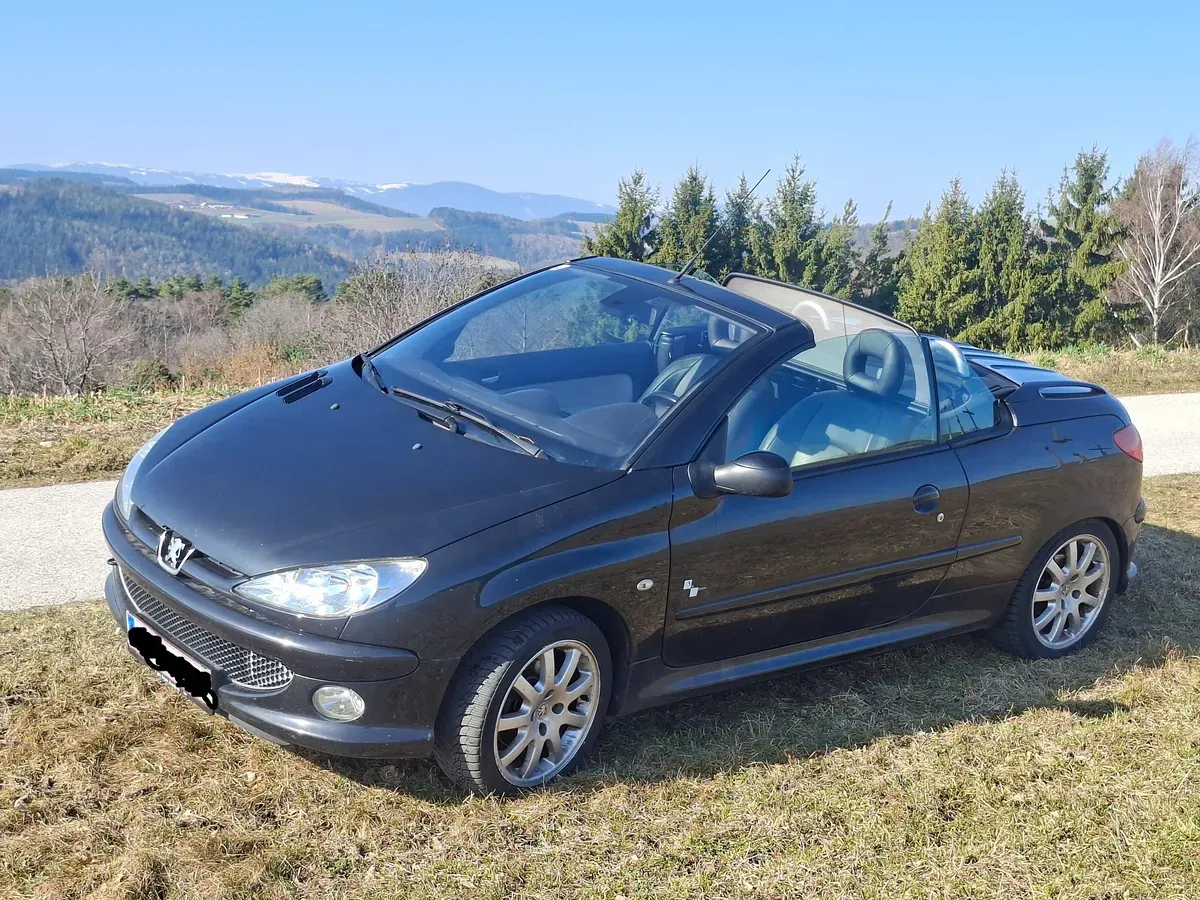 Peugeot 206 2006 photo 3