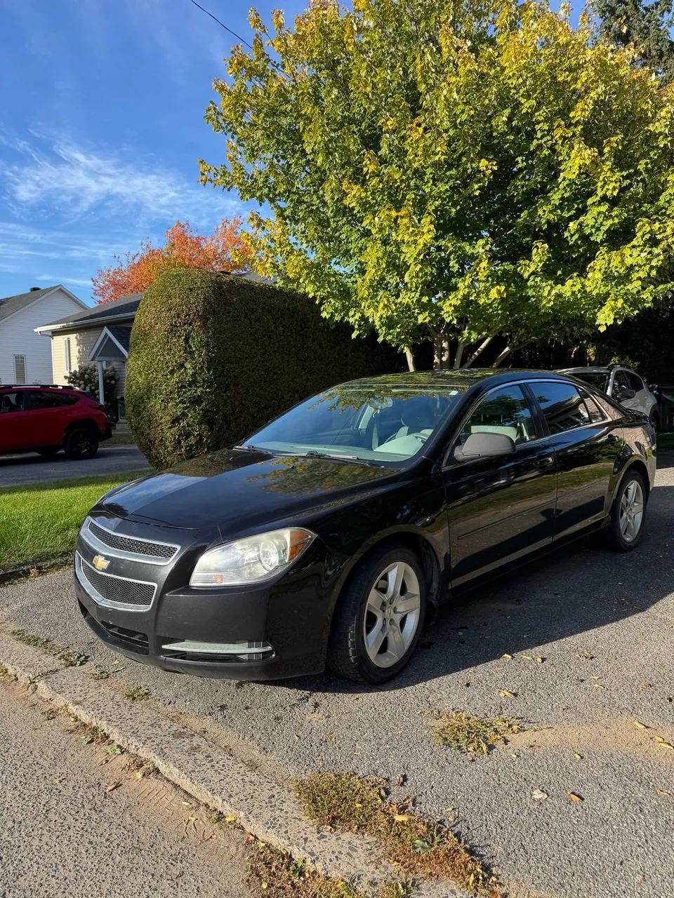 Chevrolet Malibu 2010 photo 2