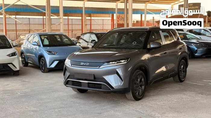 BYD Atto 2