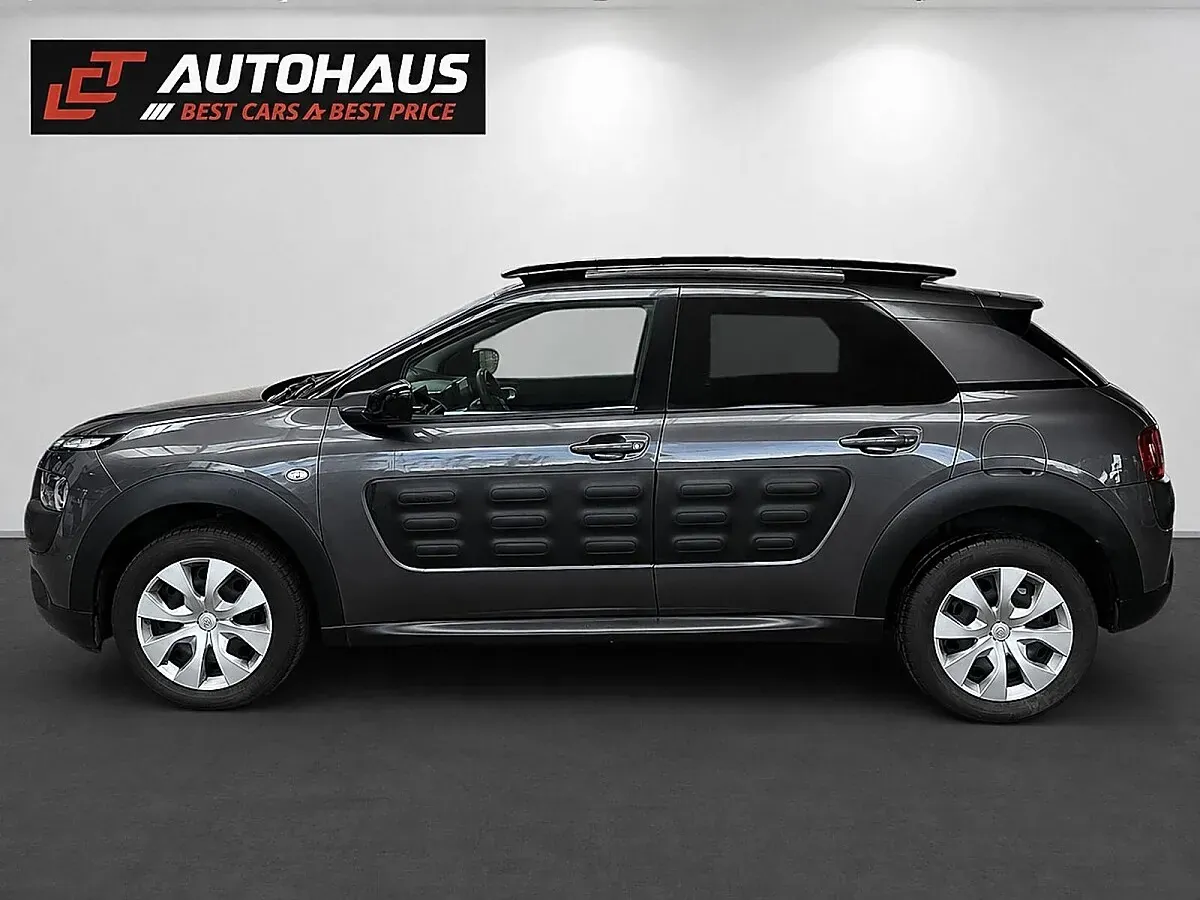 Citroen C4 Cactus 2018 photo 2
