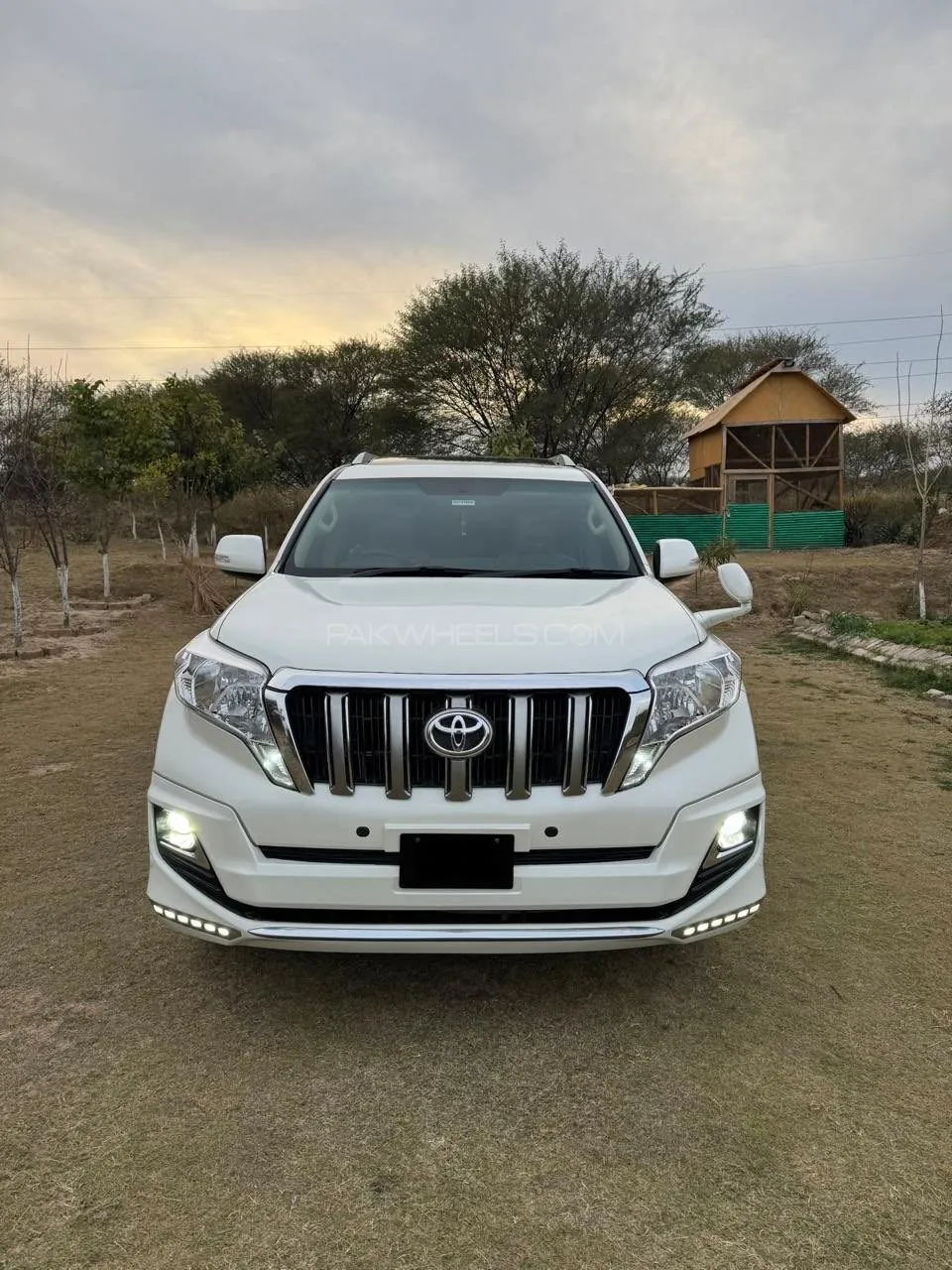 Toyota Prado