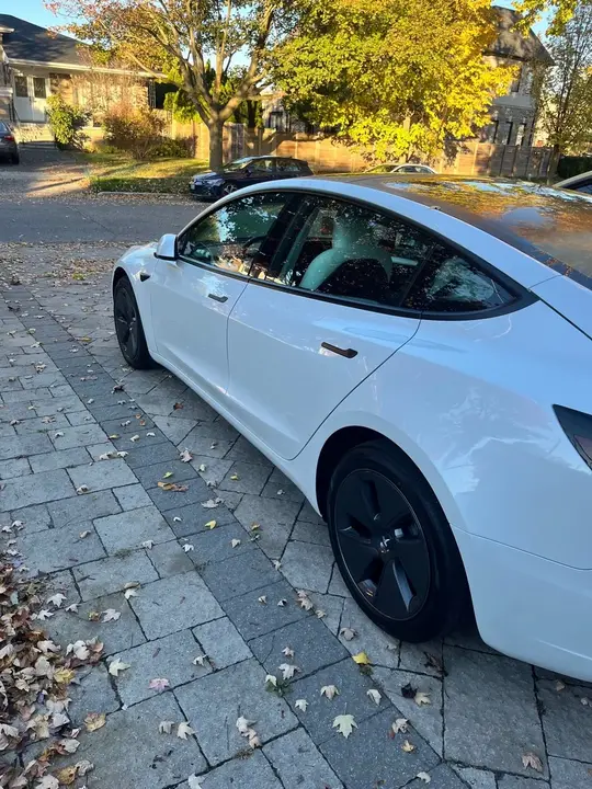 Tesla Model 3 2023 photo 2