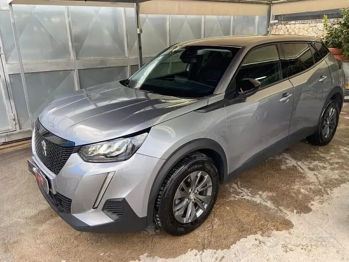 Peugeot 2008 2021 photo 2