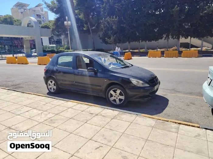 Peugeot 307 2003 photo 2