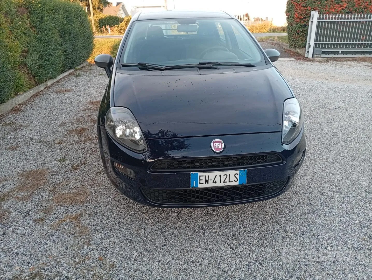 Fiat Punto 2014 photo 3