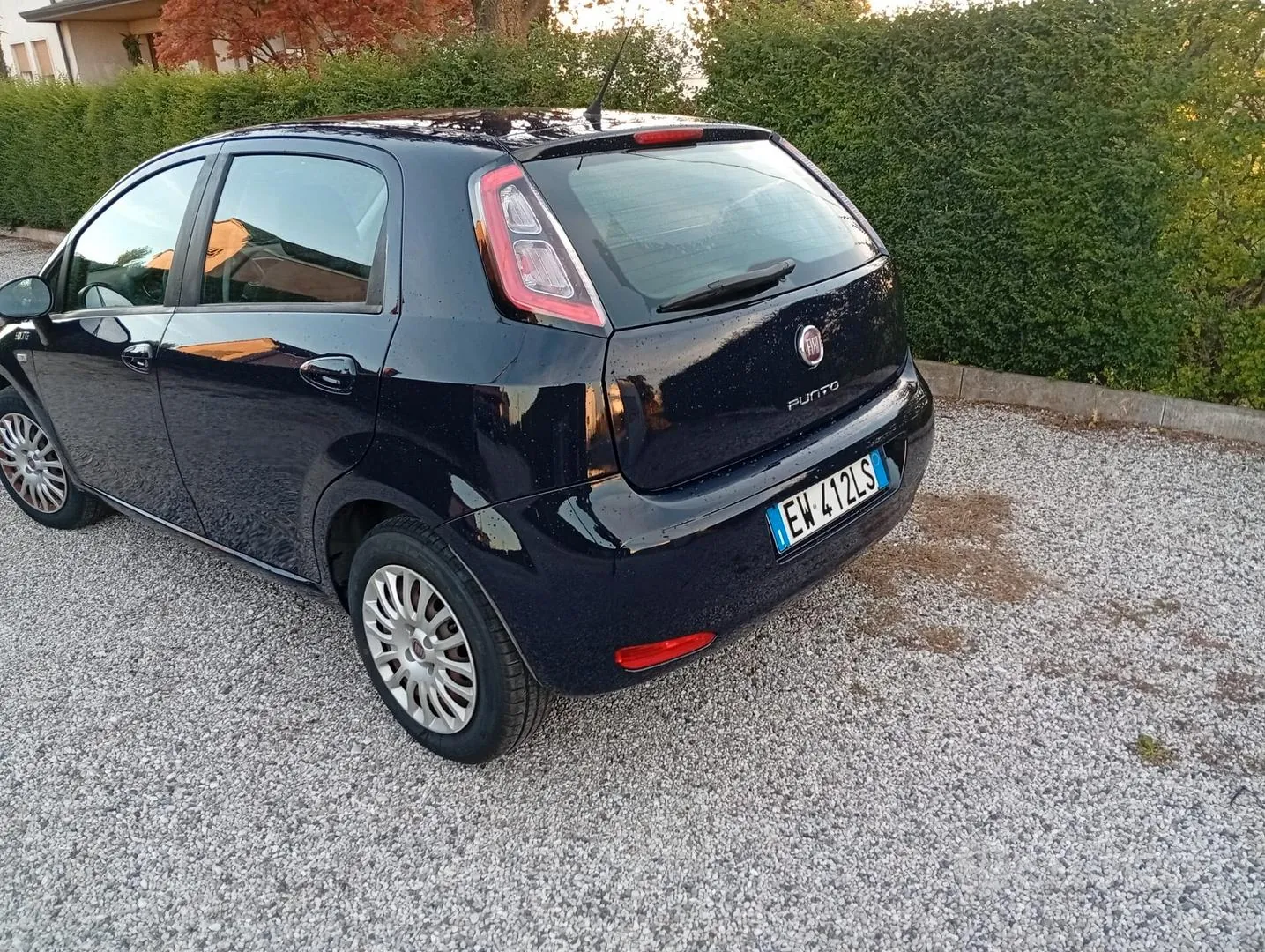 Fiat Punto 2014 photo 5