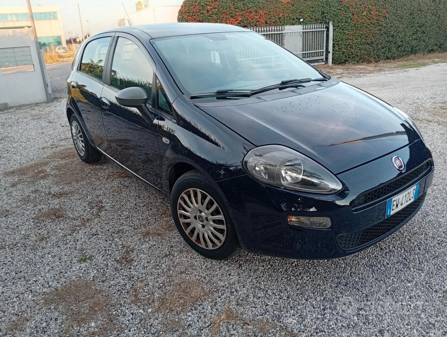 Fiat Punto