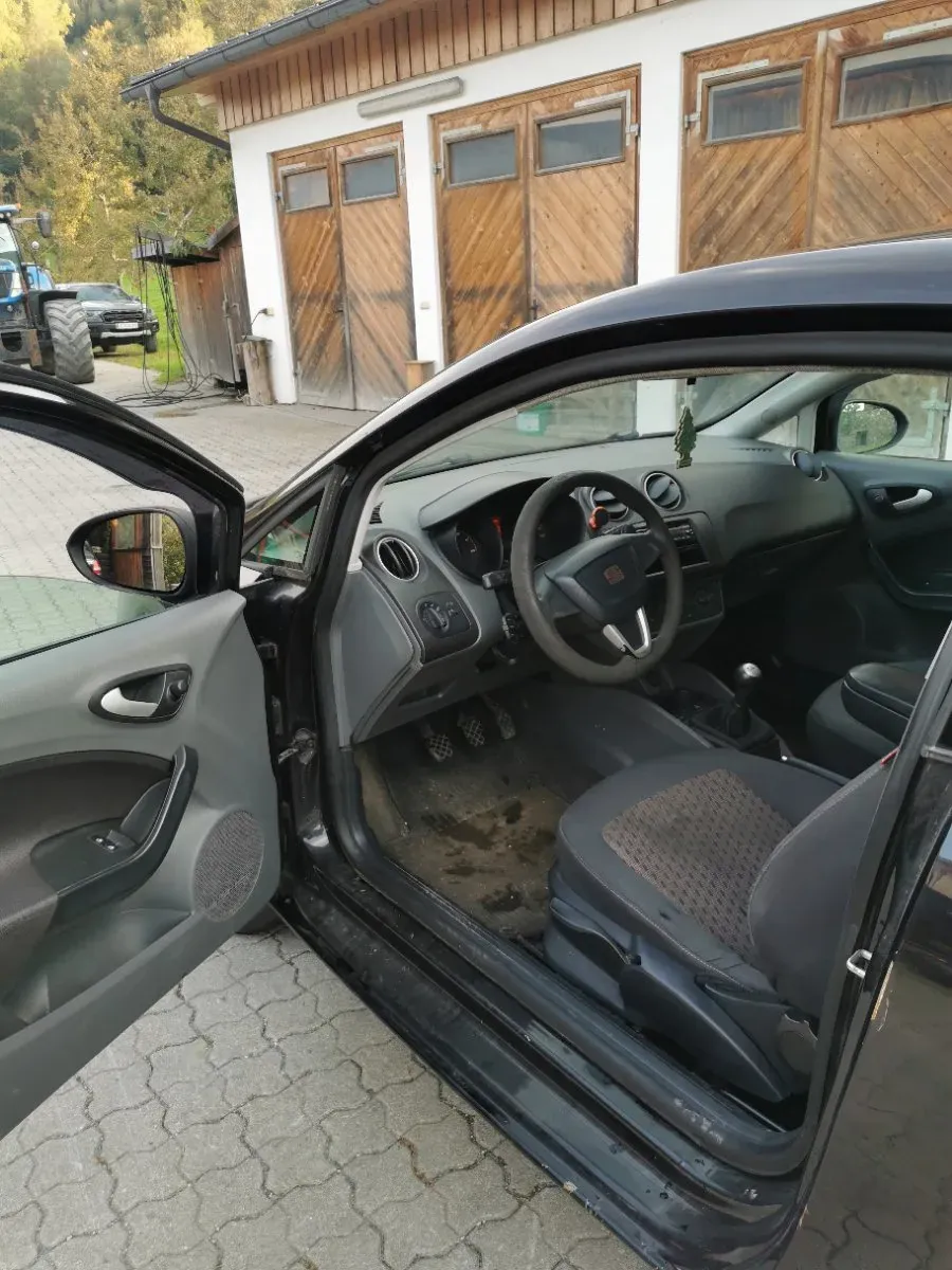 Seat Ibiza 2009 photo 2