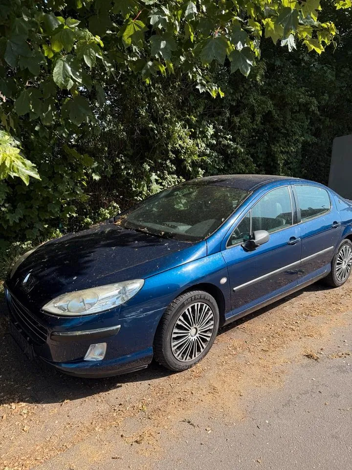 Peugeot 407