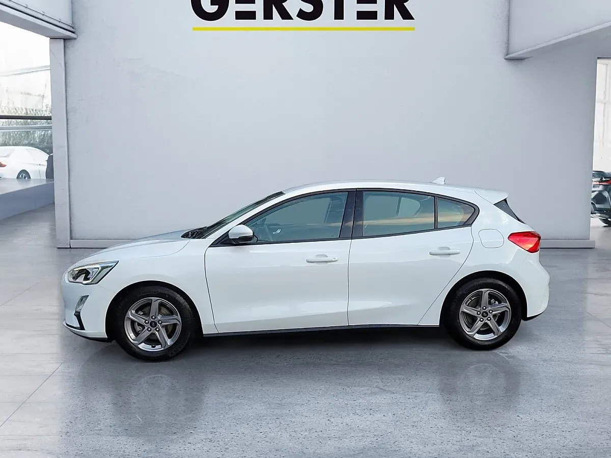 Ford Focus 2019 photo 3