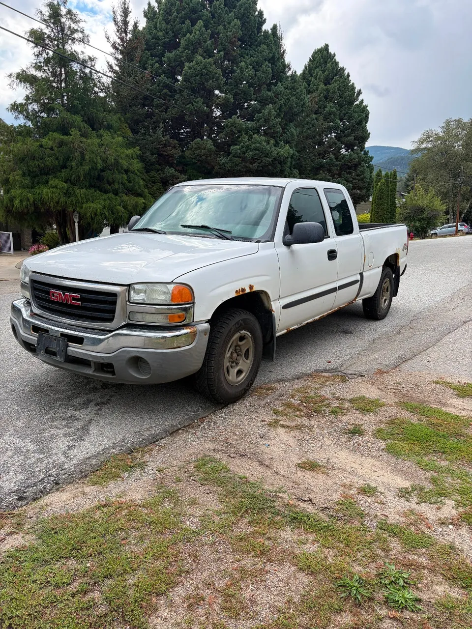 GMC Sierra 1500 2003 photo 2