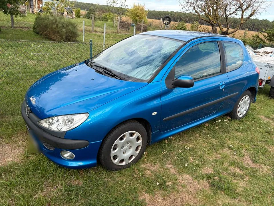 Peugeot 206