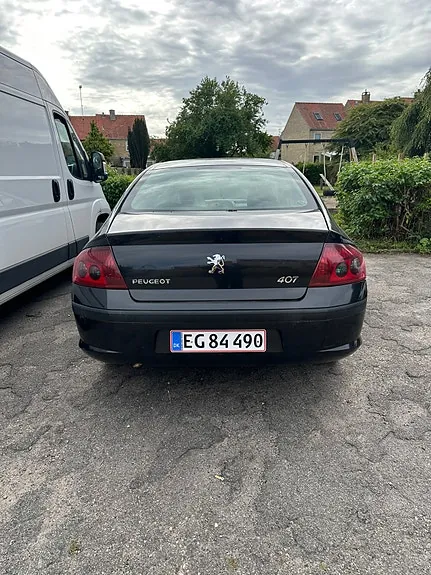 Peugeot 407 2007 photo 2