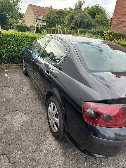 Peugeot 407 2007 photo 3