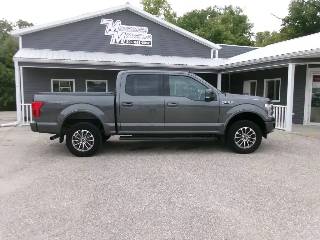 Ford F-150 2020 photo 2