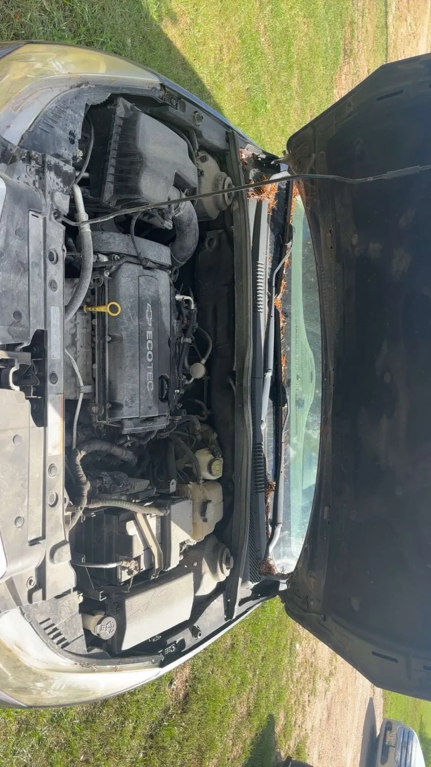 Chevrolet Cruze 2011 photo 5